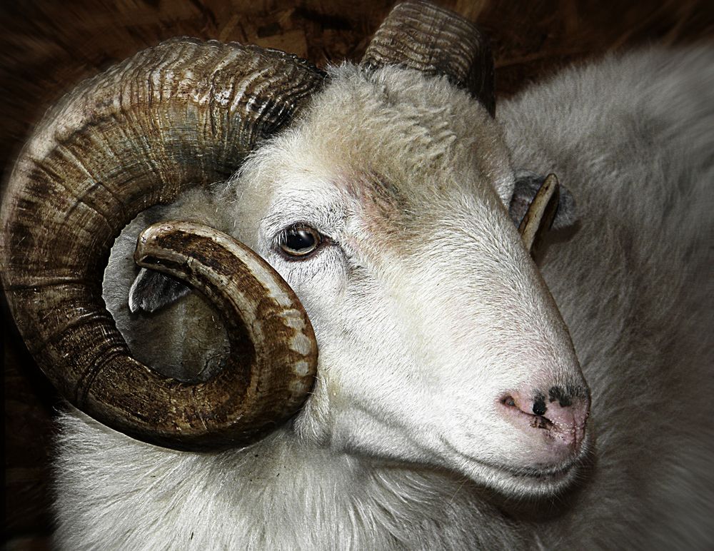 Photograph by Алексей Парамонов