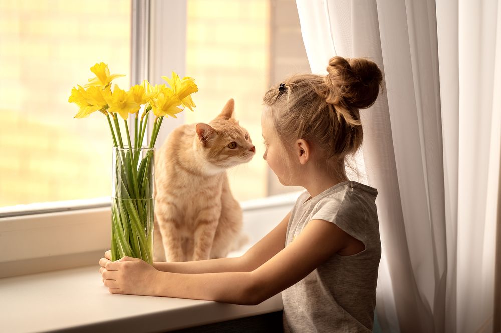 Предчувствие весны