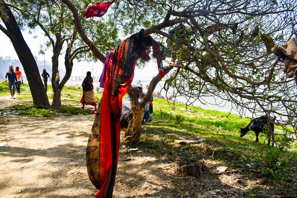 Photograph by Gupta Rahul