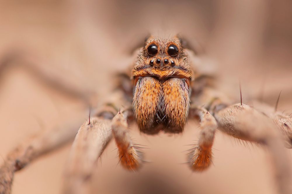 Photograph by Gonzalez Paul Andres