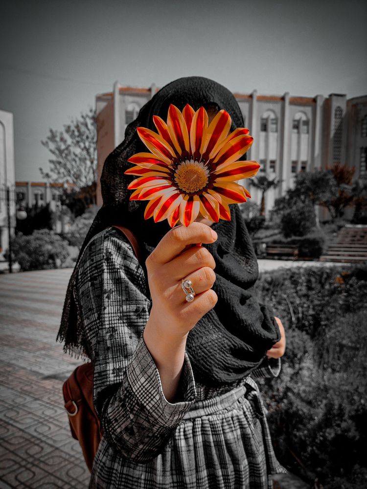 Photograph by Sami Adjabi