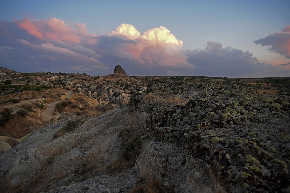 Photograph by Наталья Ляшенко