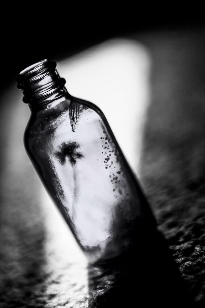 Фотография автора Юлия Капустинская