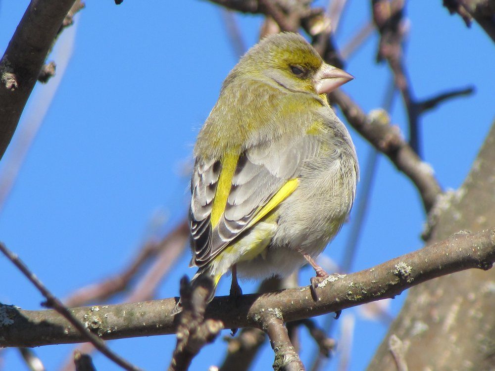 Photograph by Екатерина Лобанова