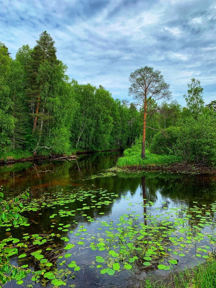 Photograph by Мария Василенко