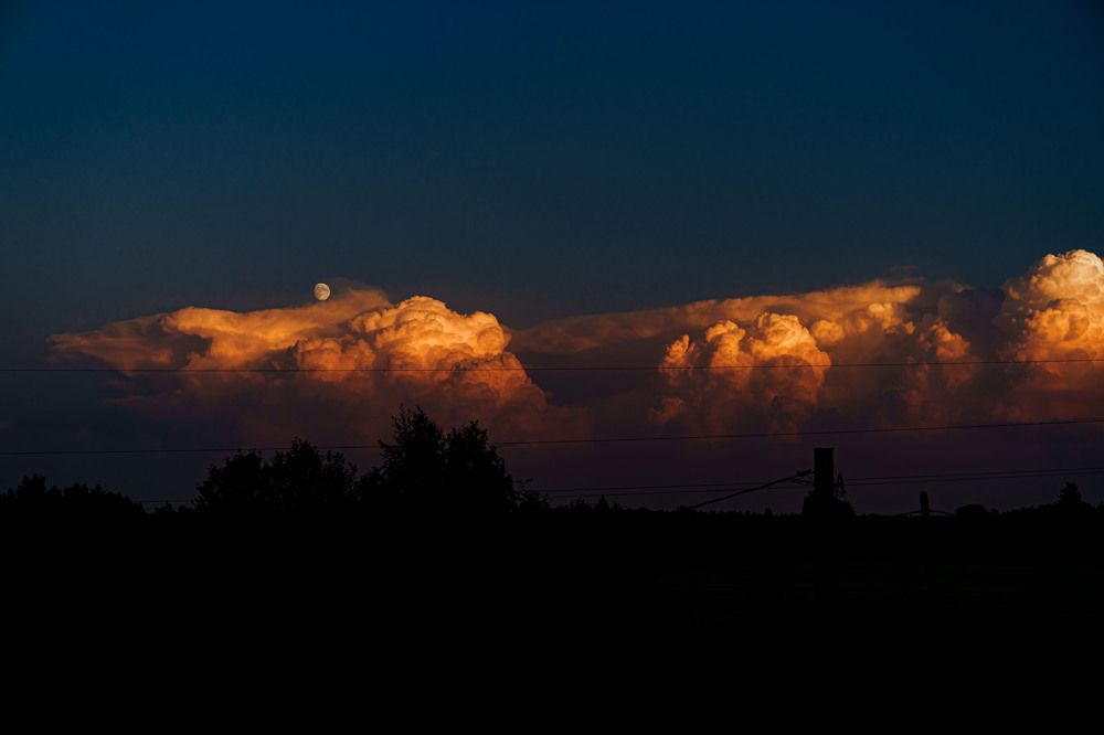 Photograph by Susanna Kari