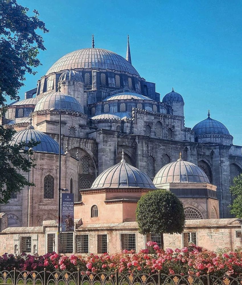 Фотография автора amal ahmed