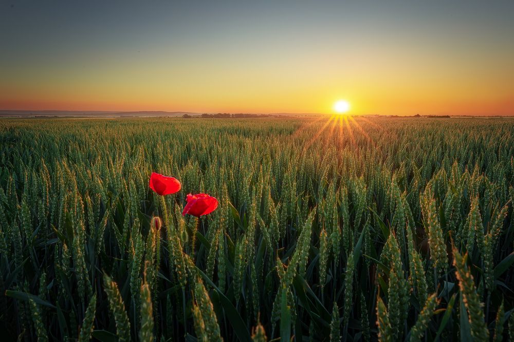 Photograph by Tom Kráčmar