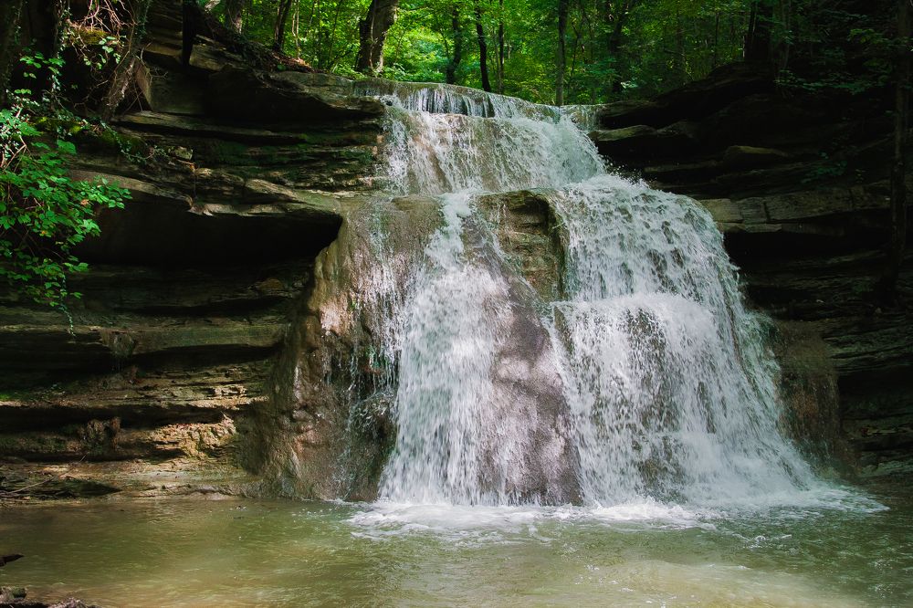 Фотография автора Мария Веселова