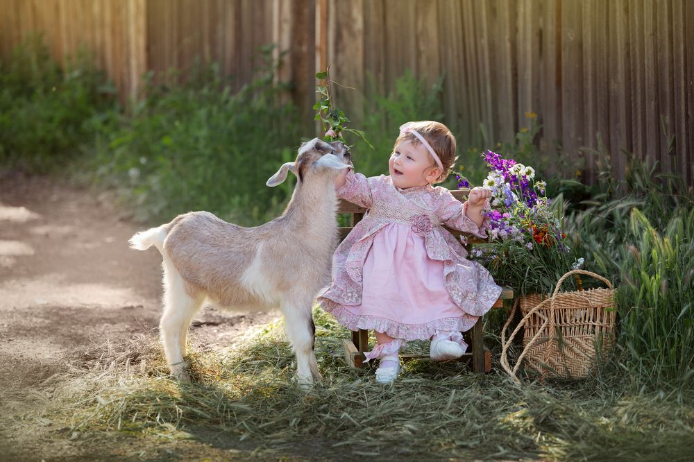 Photograph by Светлана Лазарева