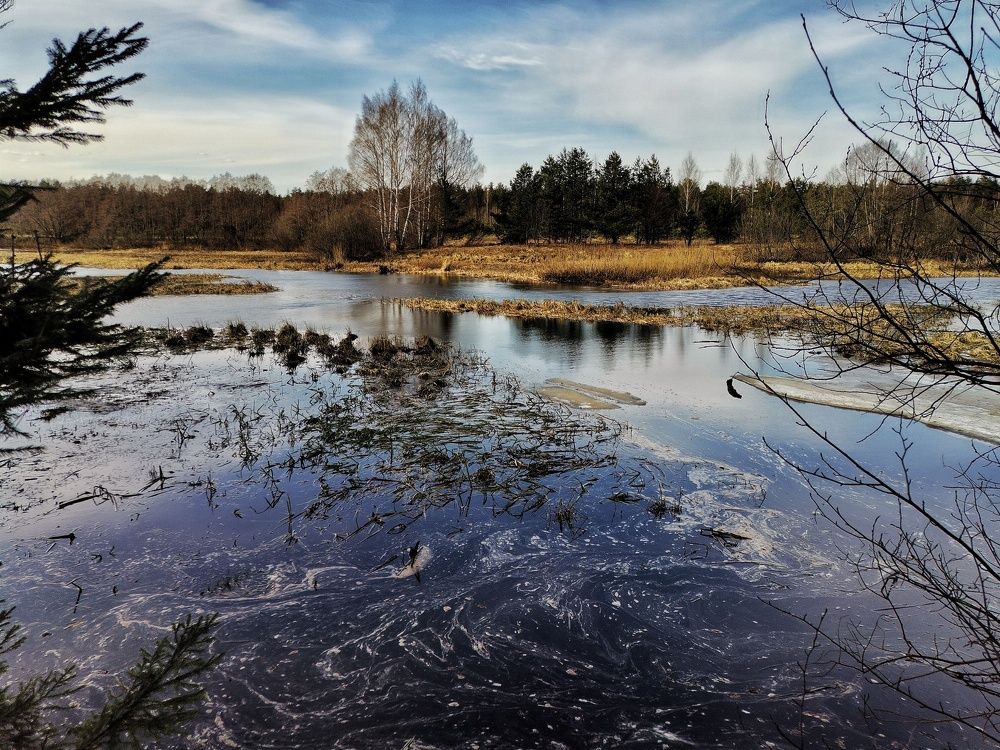 Photograph by Мария Тёмкина