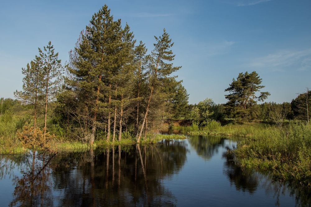 Photograph by Мария Тёмкина