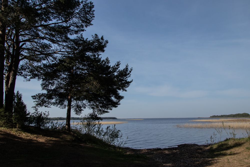 Photograph by Мария Тёмкина