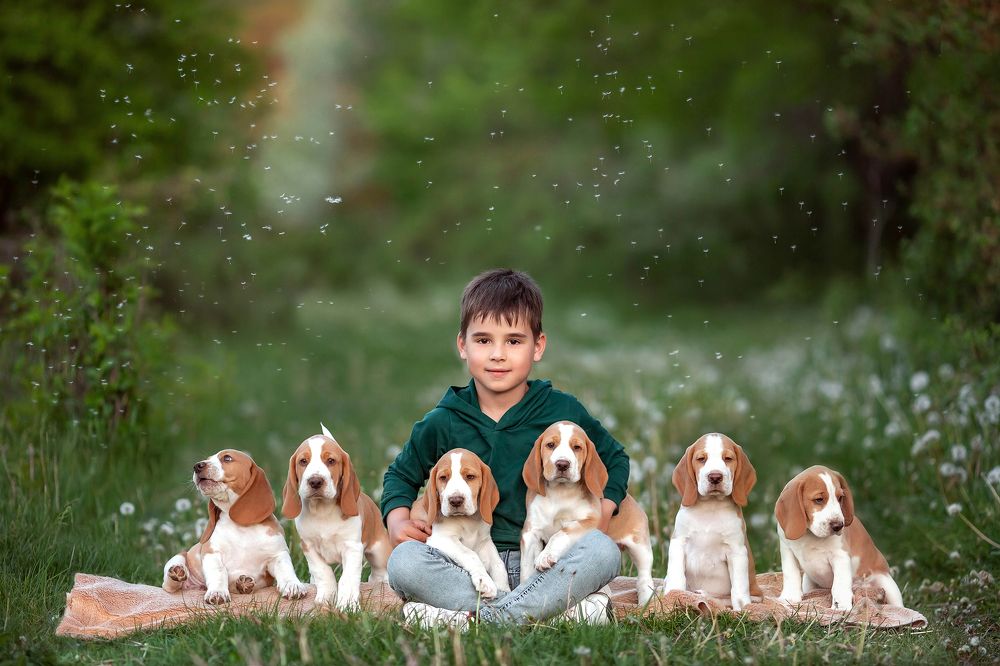 Фотография автора Александра Лижник