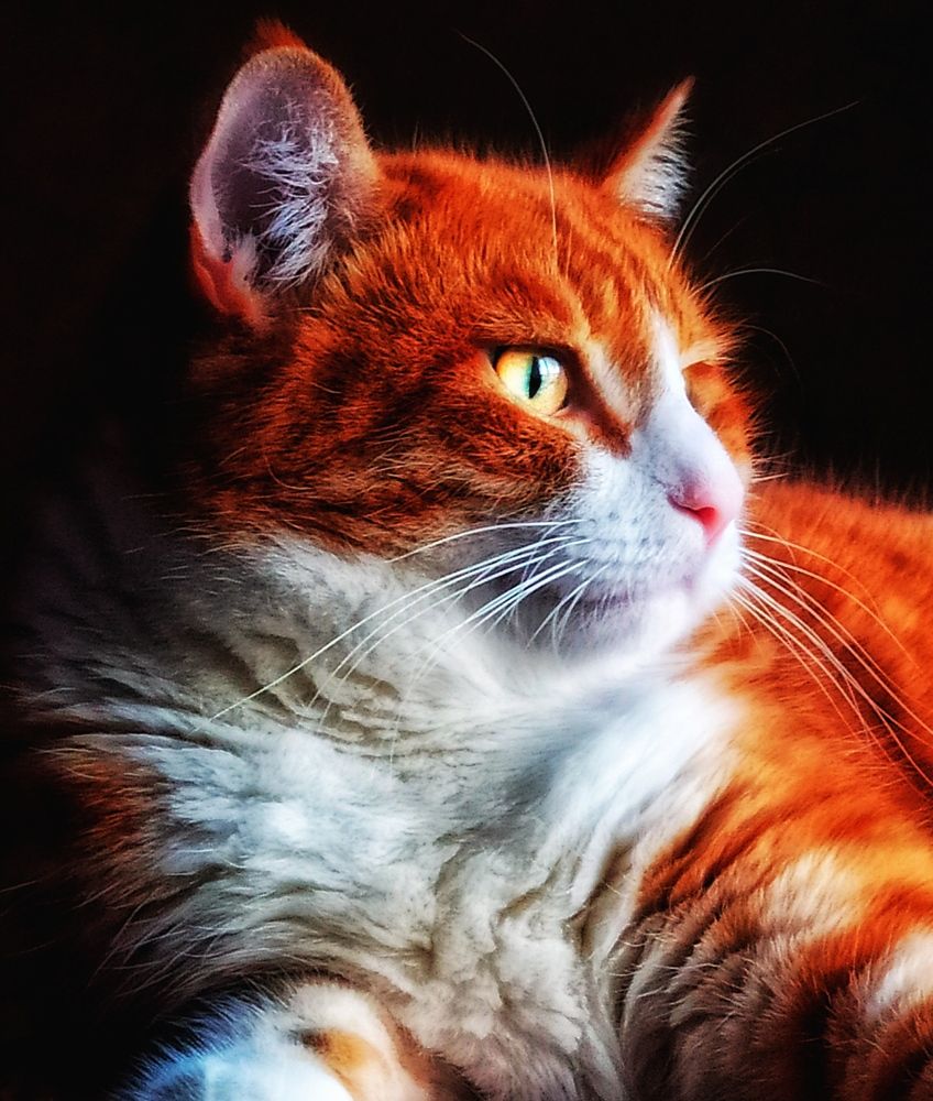 Photograph by Василий