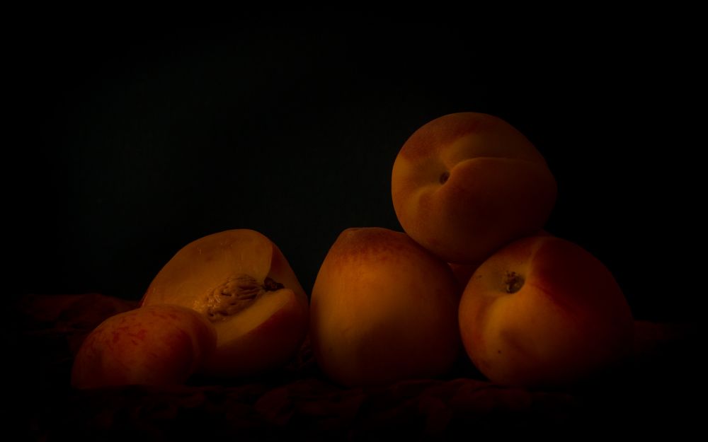 Photograph by SAMIR MOHAMED IBRAHIM AHMED