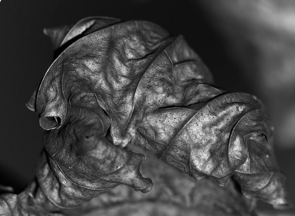 Photograph by Владимир Сафонов