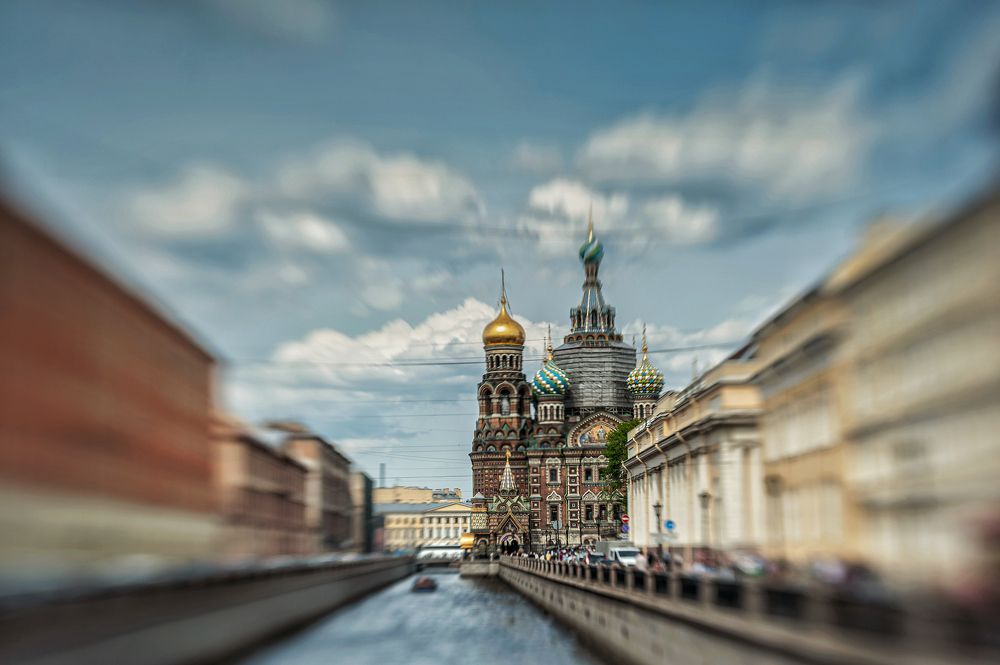 Фотография автора Виктория Шаманова