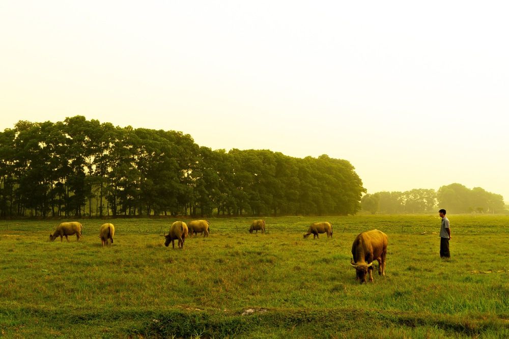 Photograph by Hieu Phan