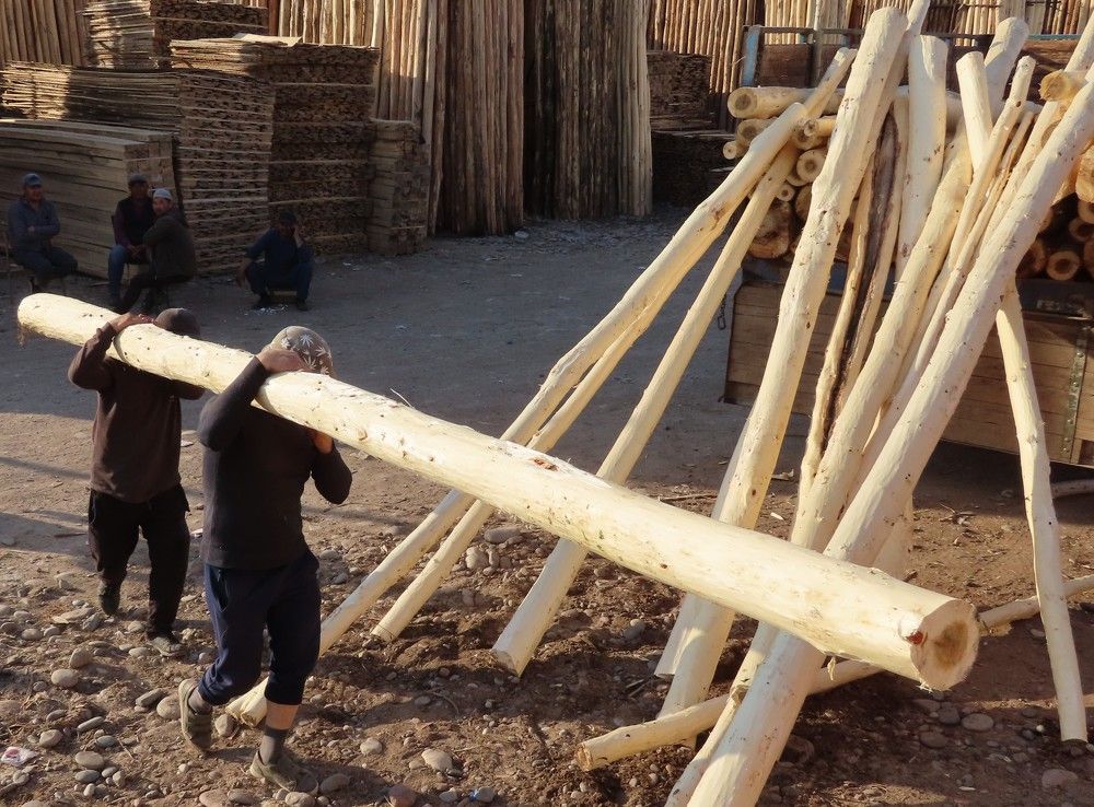 Photograph by Фотима Абдурахманова