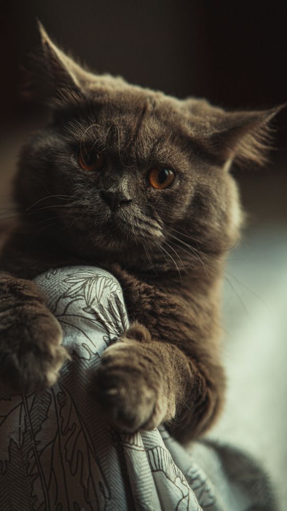 Photograph by john stephenson