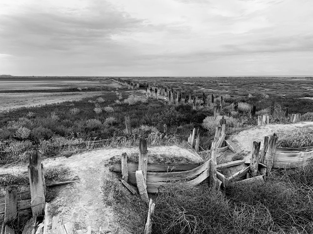 Photograph by Александр Аседач