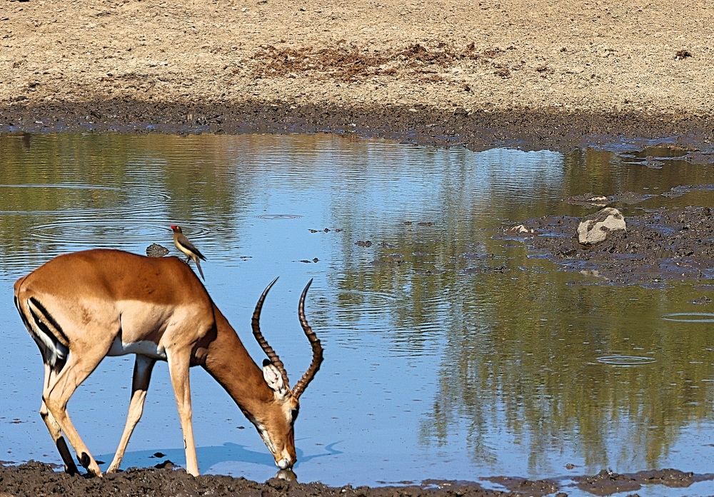 Photograph by Jacques Nel