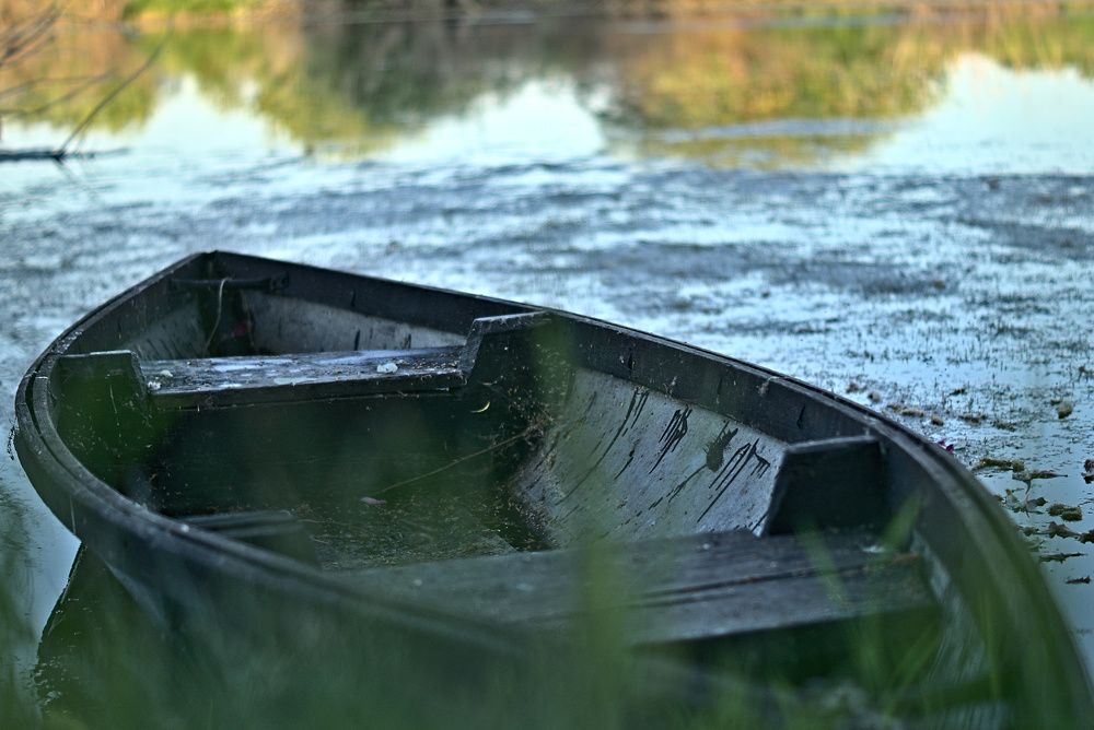 Photograph by Олег Каракин