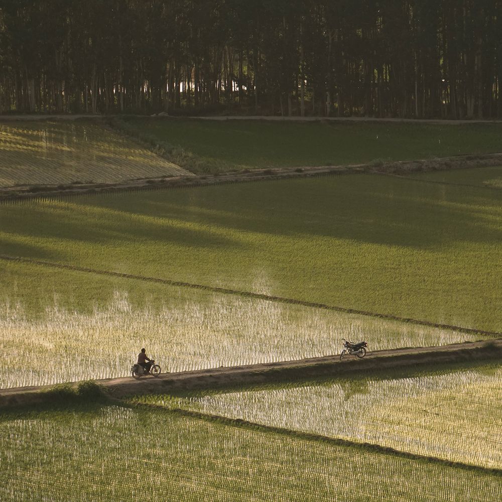 Photograph by Sahba Dorri