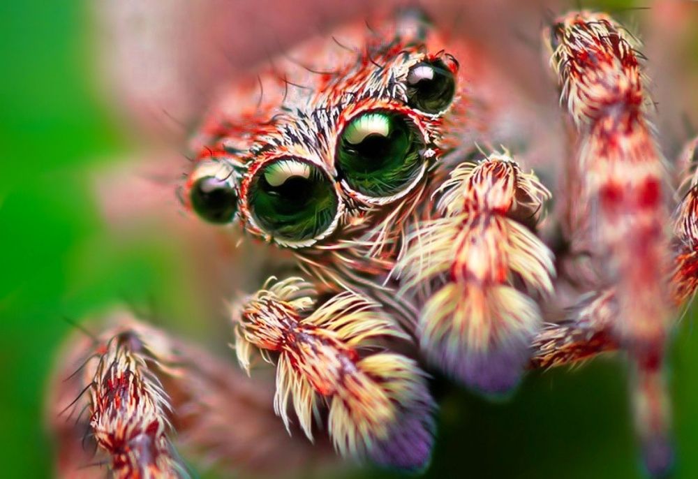 Photograph by Omid Rahimi