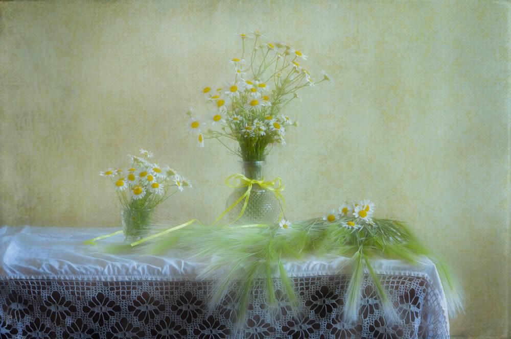 Photograph by Светлана Лехмус