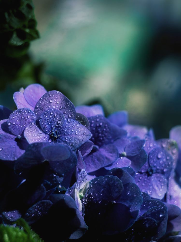 Photograph by Никита Серебряков