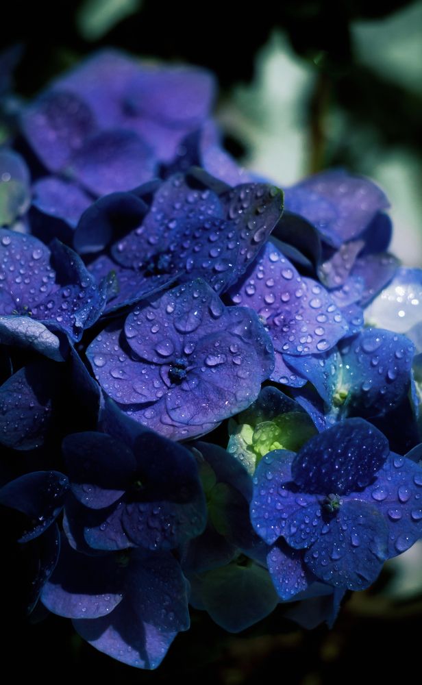 Photograph by Никита Серебряков