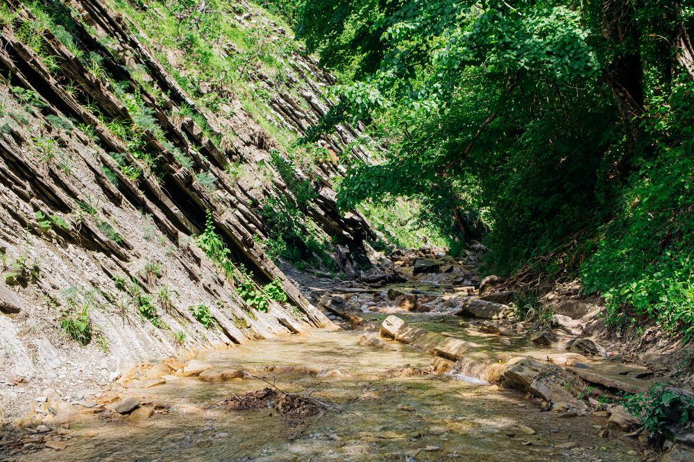 Photograph by Михаил Балабин