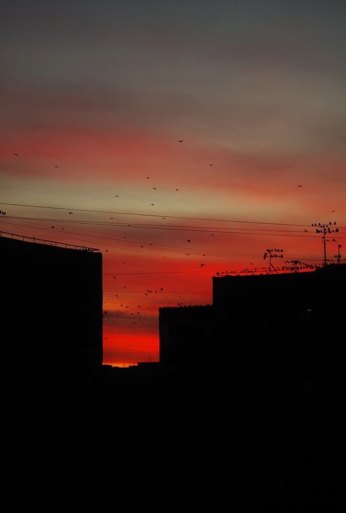 Photograph by Сергей Конищев