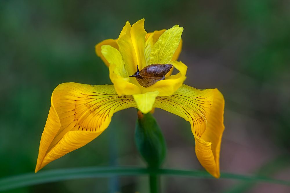 Photograph by Екатерина Бакулина