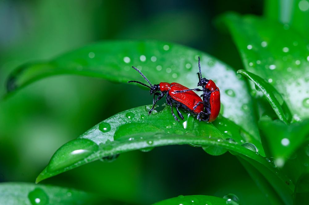 Photograph by Екатерина Бакулина