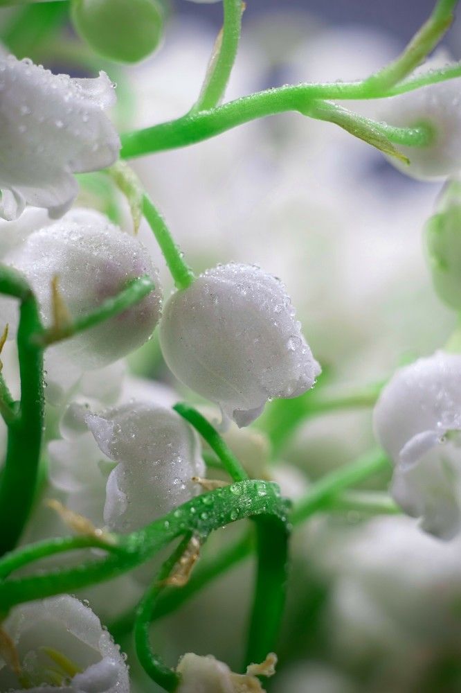 Photograph by Арсен Магомедов