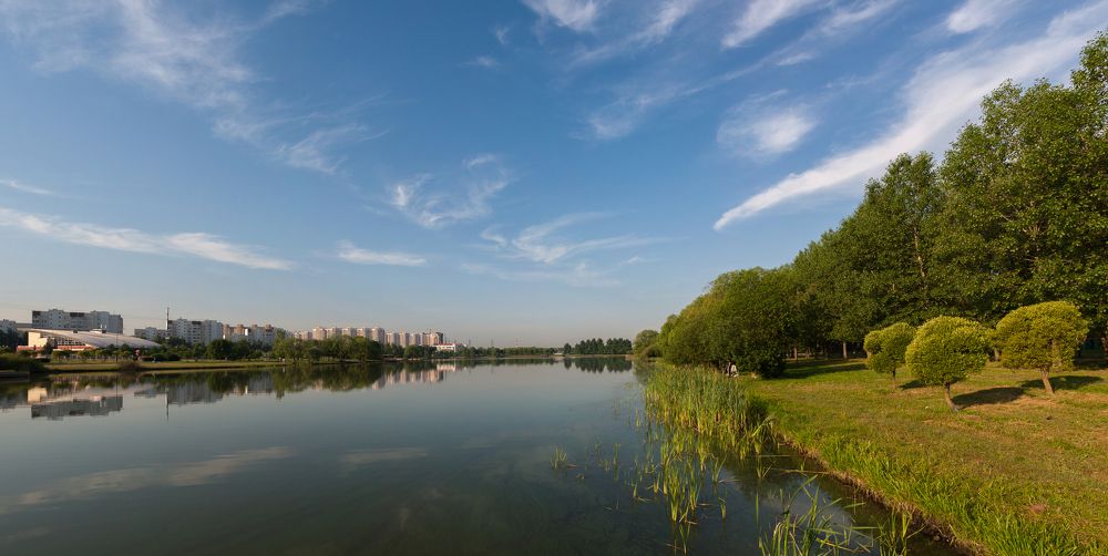 Июньское утро на пруду в городском парке