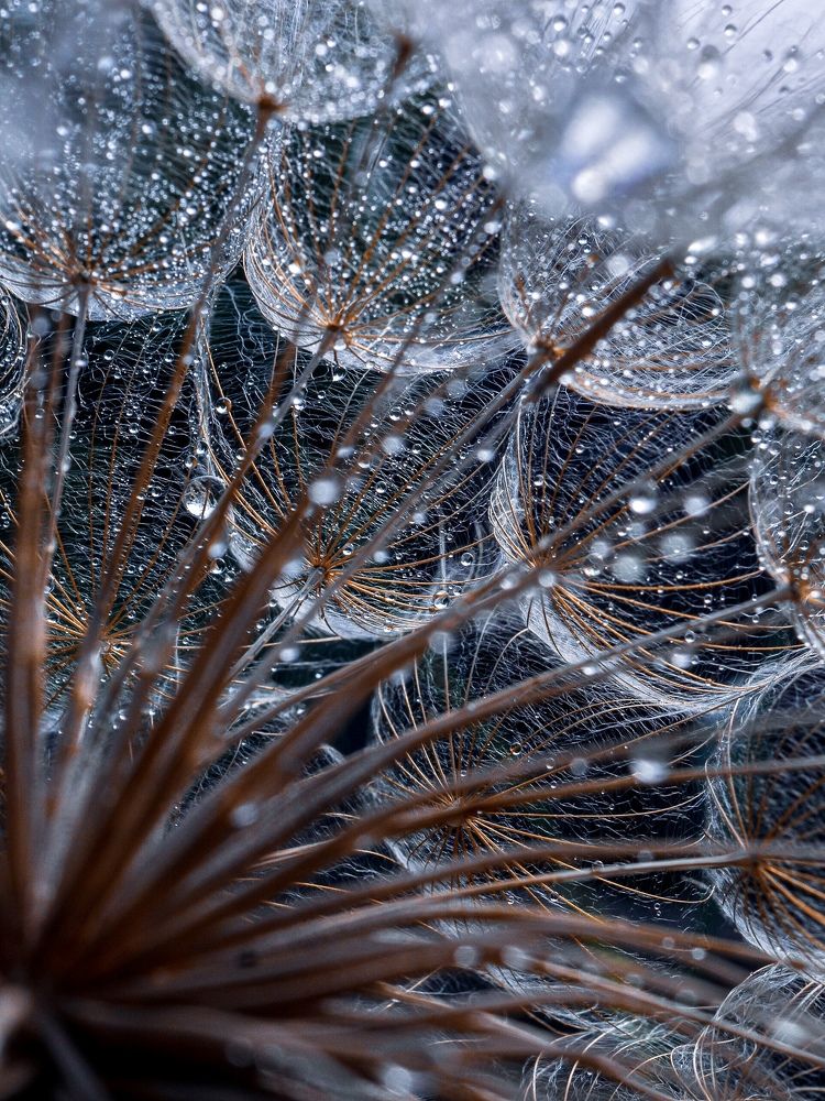 Photograph by Марина Сидоренко