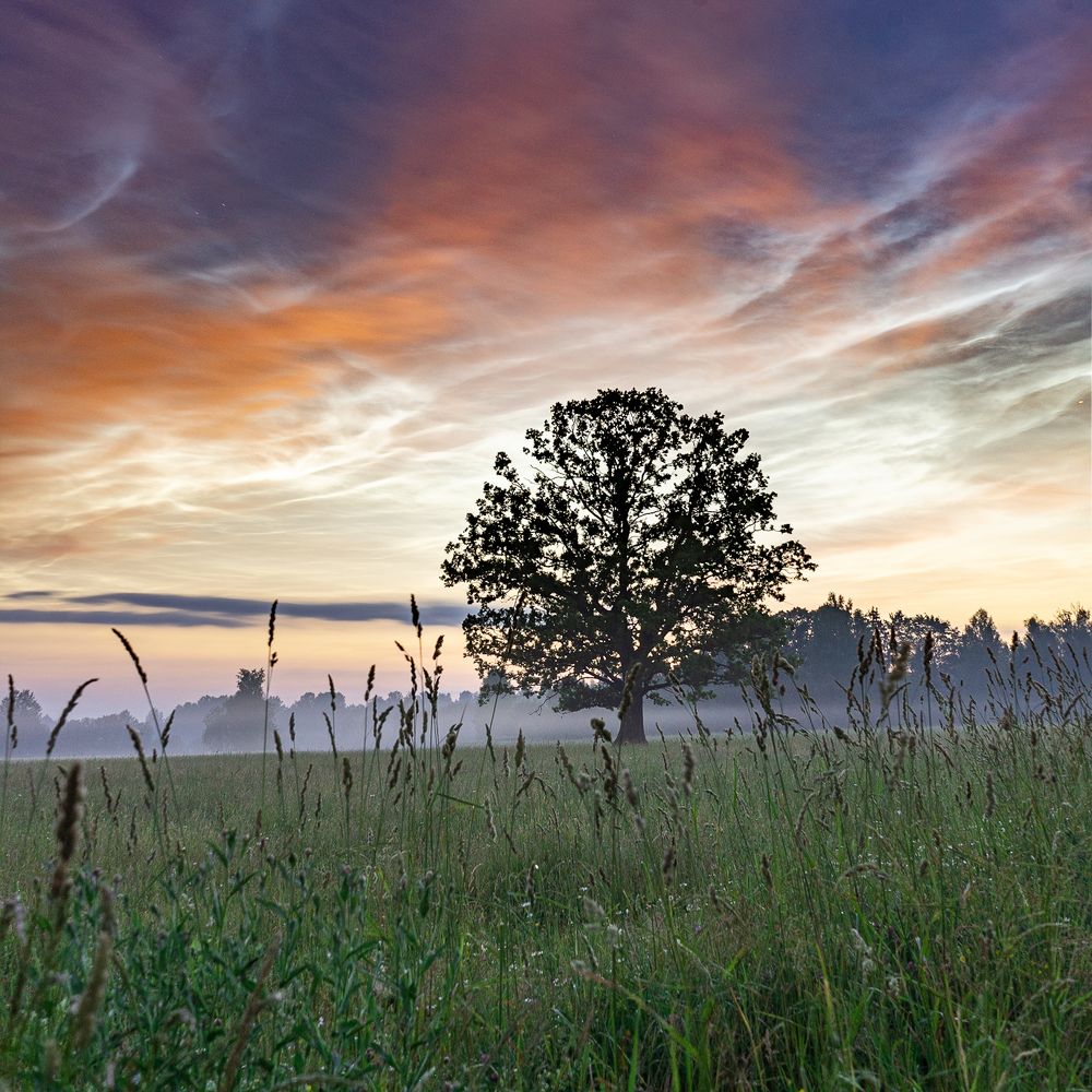 Photograph by Arturs Buza-Bosvehters