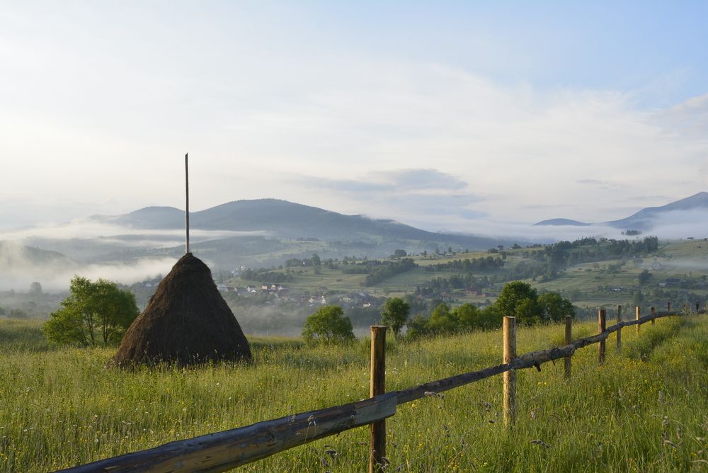Photograph by Ольга