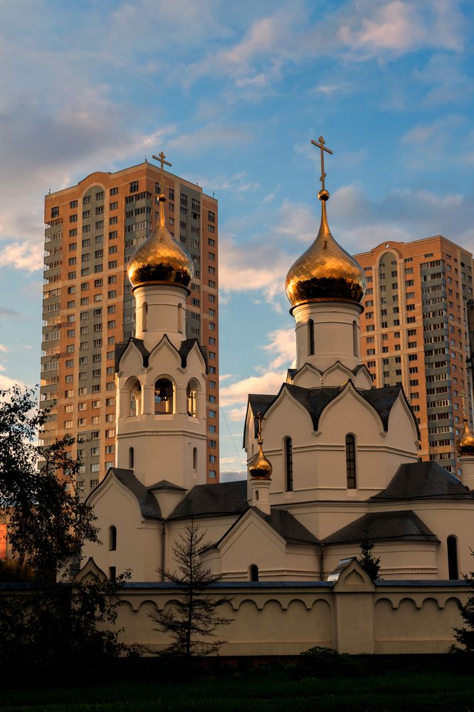 Фотография автора Виталий Гавронский