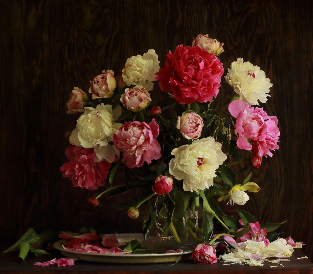 Фотография автора ТАТЬЯНА ЗАХАРОВА