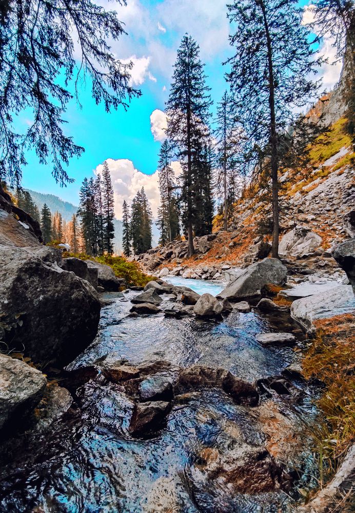 Photograph by Zaib Shaikh