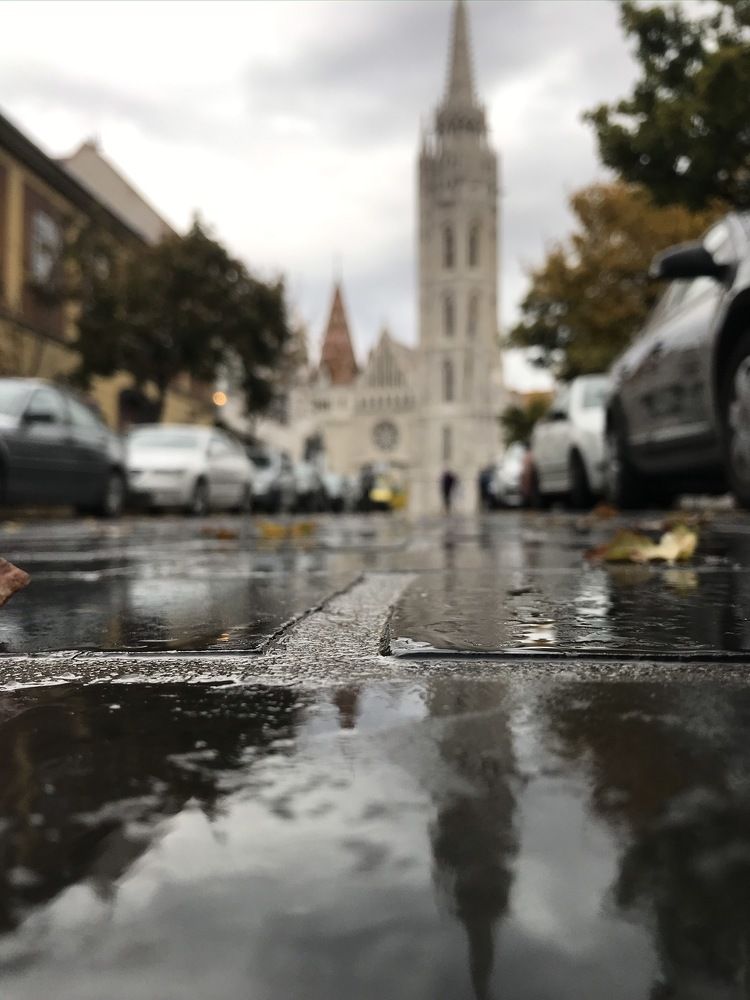 Photograph by Артур Пылаев