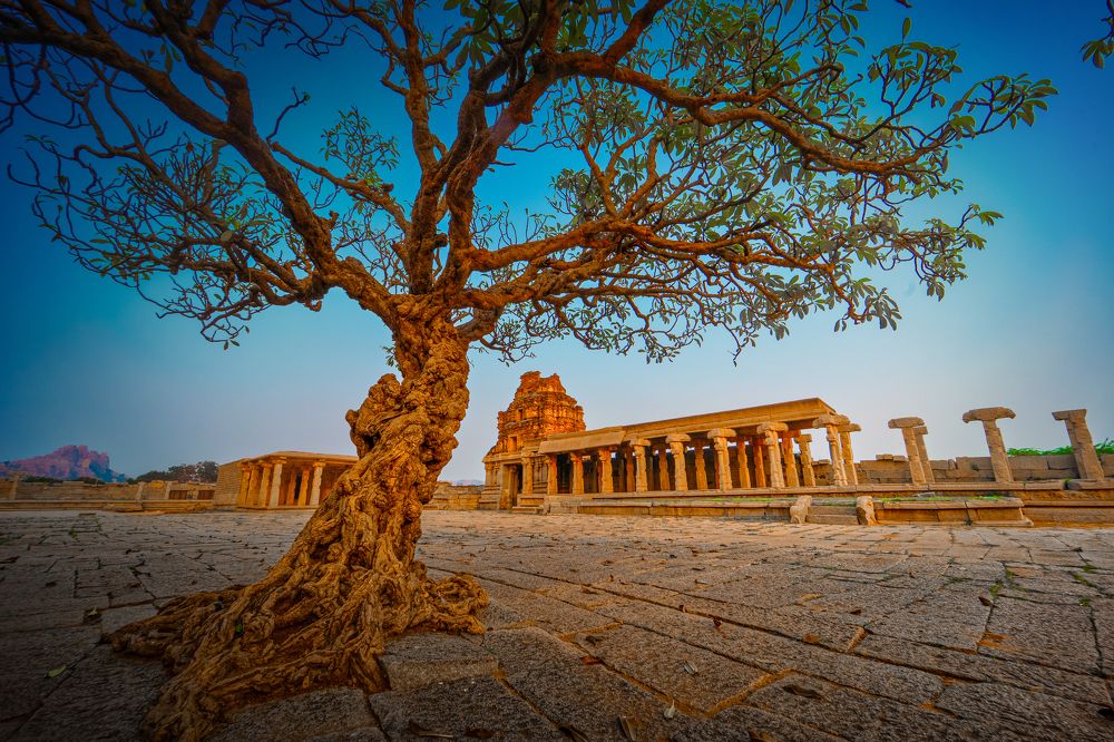 Photograph by Rahul Wedpathak