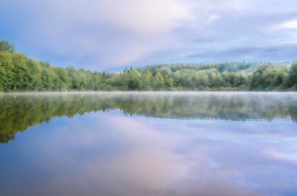 Photograph by LYUDMYLA POKRYSHEN