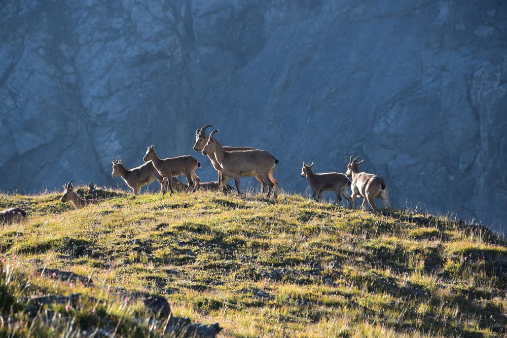Photograph by Алексей Черкашин