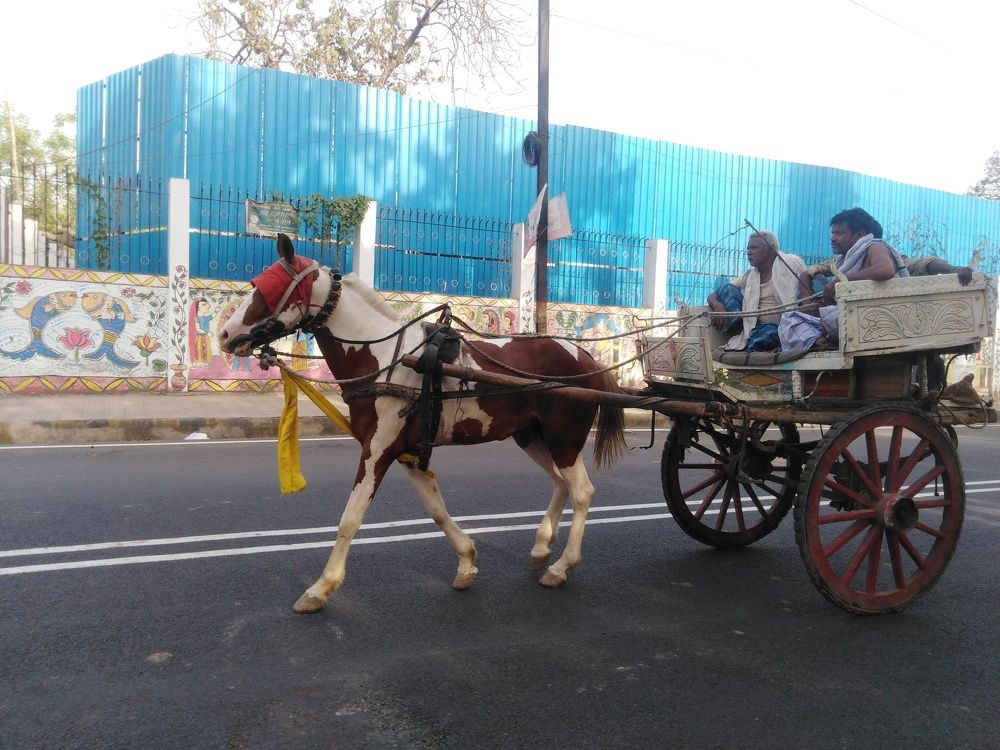 Photograph by Sandy Daniel